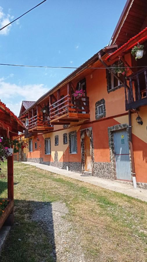 Pensiunea Simone Hotel Cîrţişoara Exterior foto