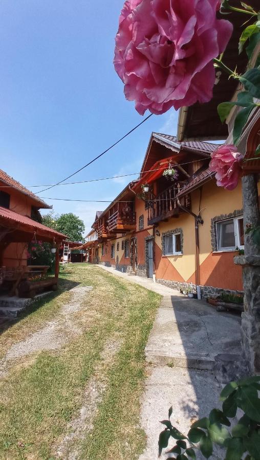 Pensiunea Simone Hotel Cîrţişoara Exterior foto