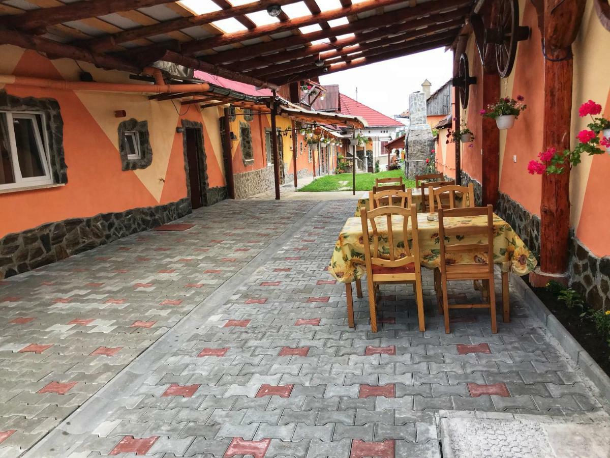 Pensiunea Simone Hotel Cîrţişoara Exterior foto